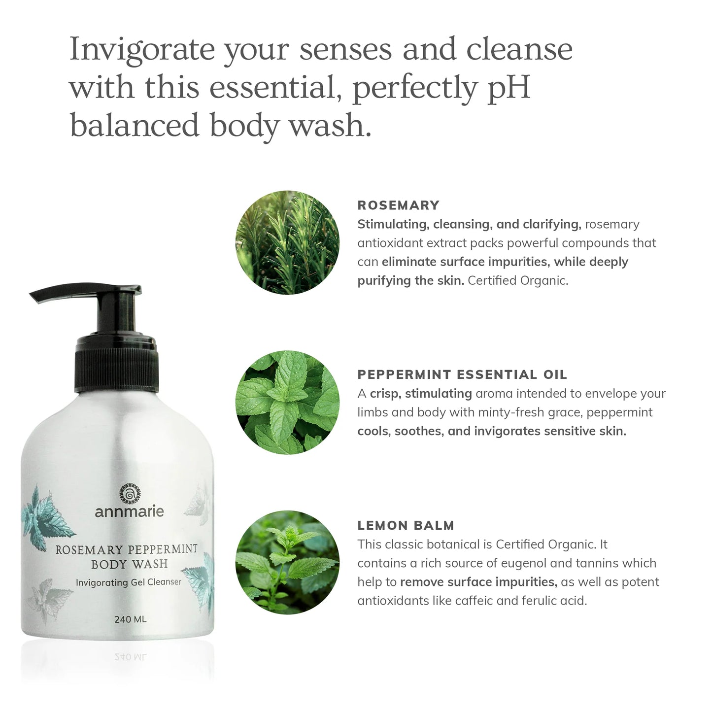 Rosemary Peppermint Body Wash (240ml)