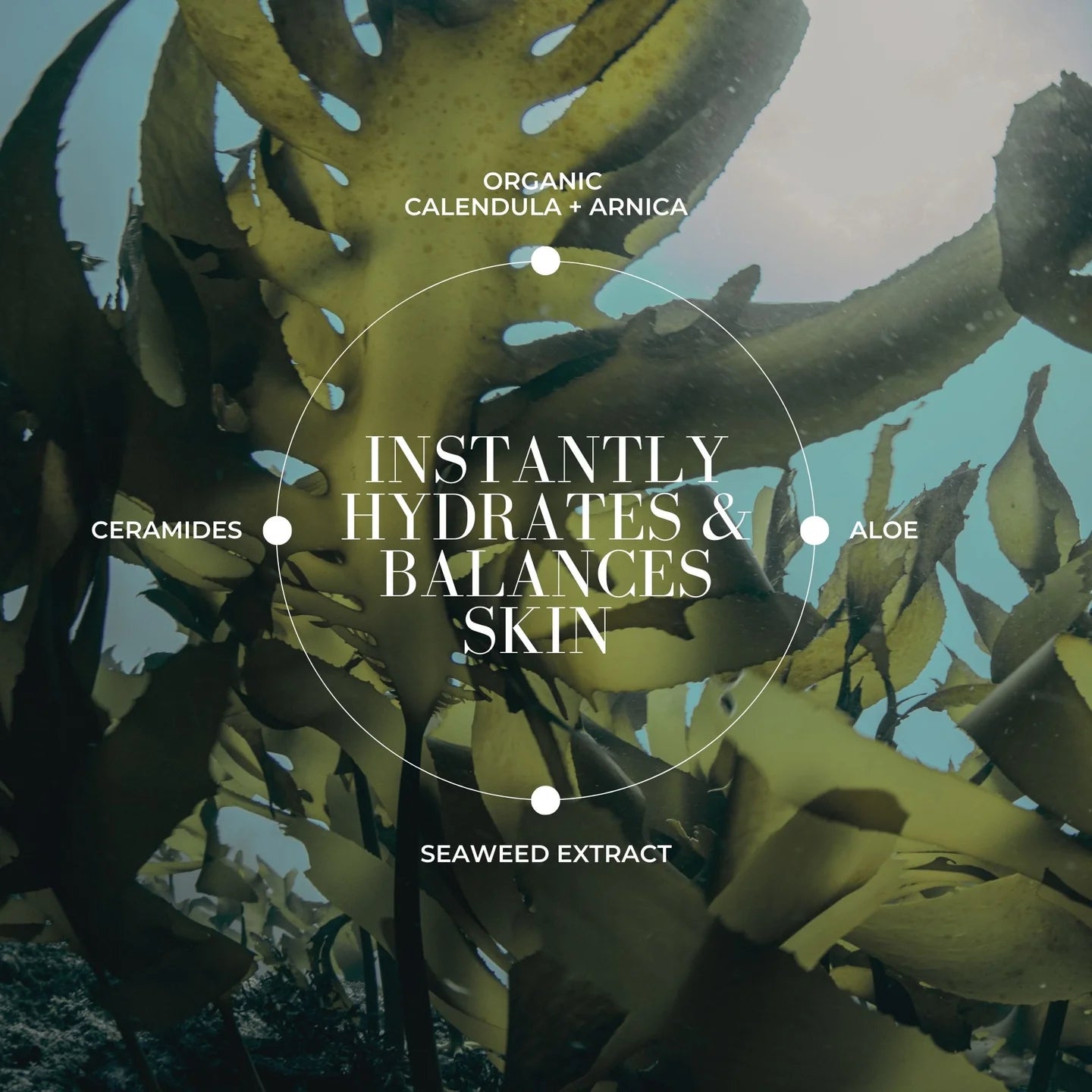 Sea Ceramide Toning Mist With Hyaluronic Acid