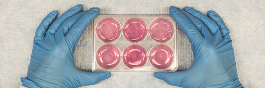 What functional labs can reveal that standard bloodwork misses