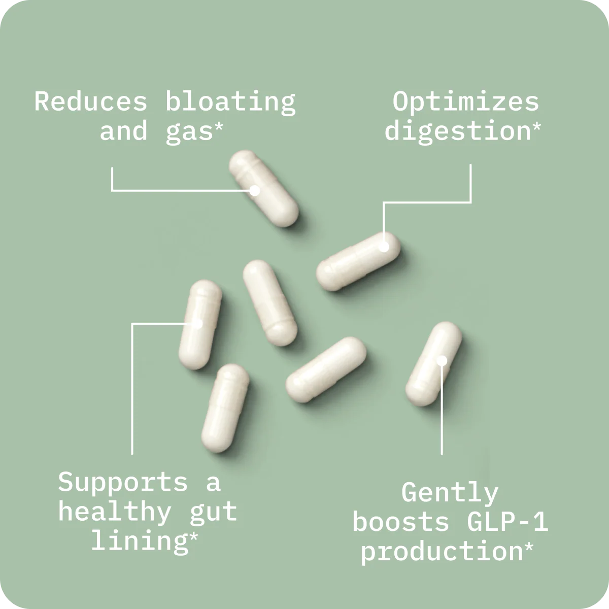 Butyrate: Gut Health Supplement