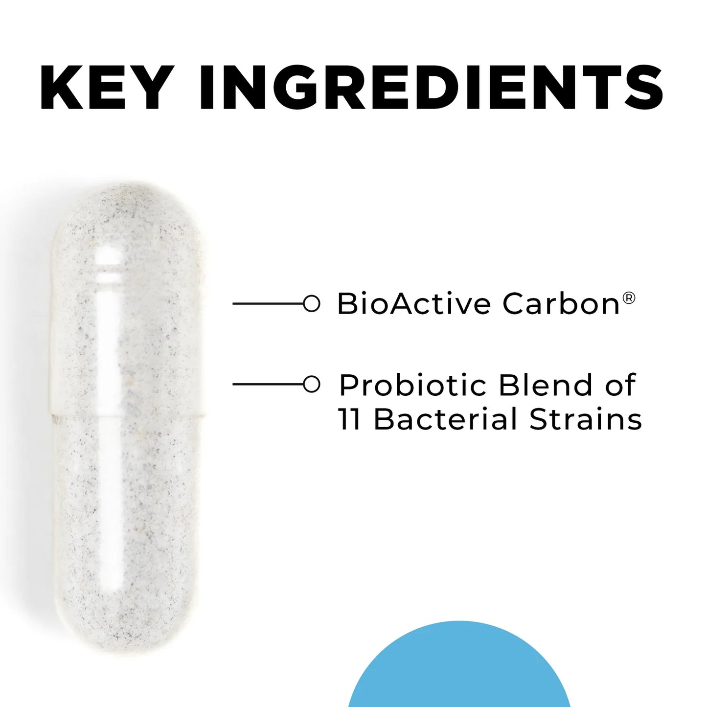 CT-Biotic