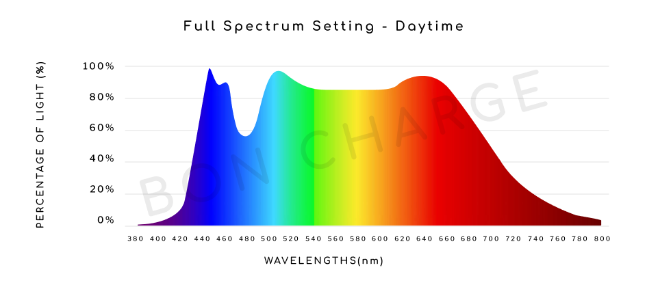 Full Spectrum Light Bulb