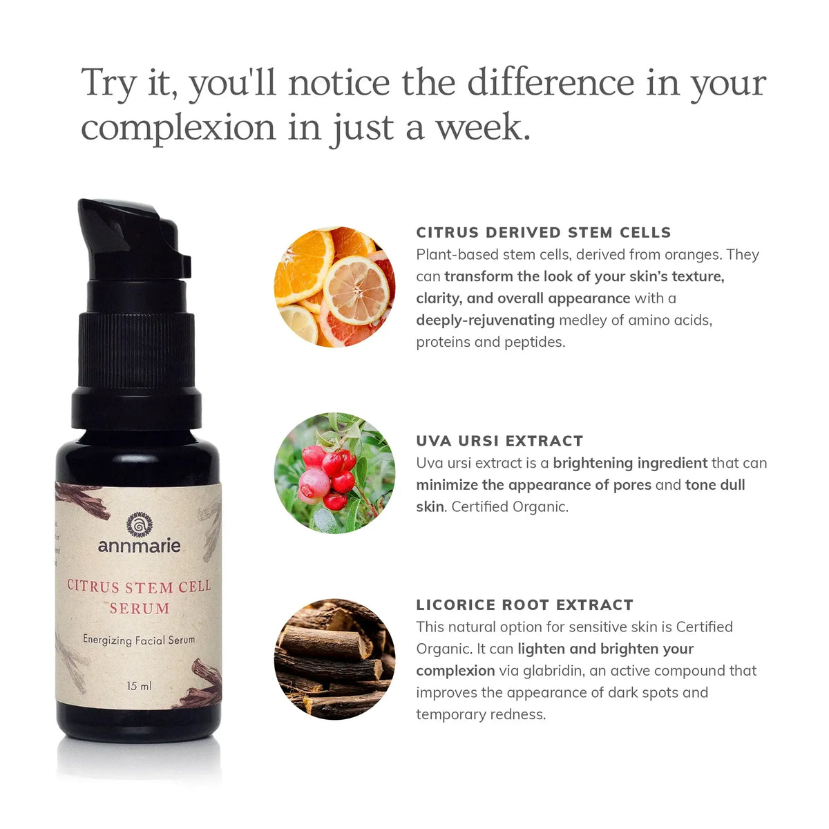 Annmarie Citrus Stem Cell Serum | Brightening Face Serum | SOLUDE