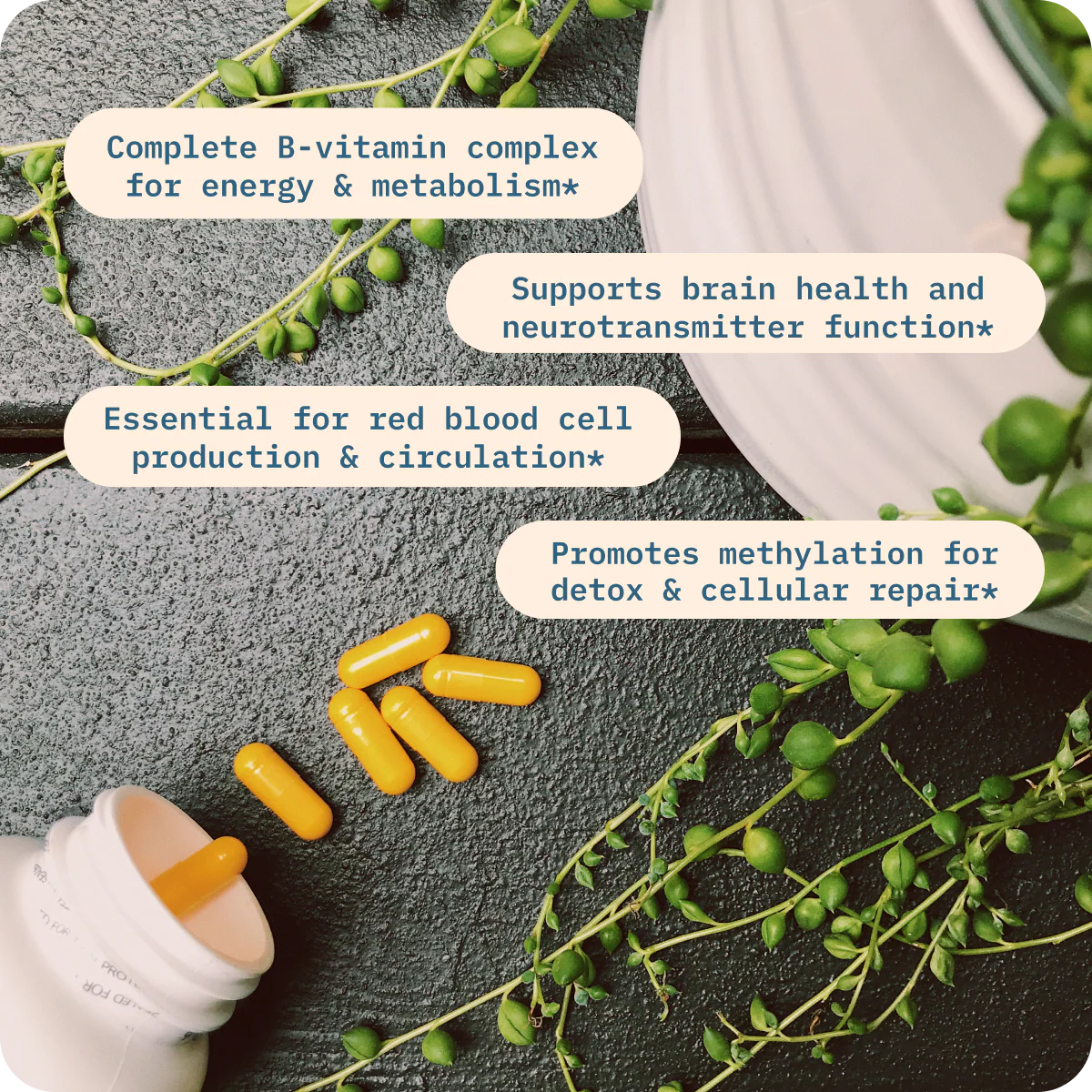 Vitamin B+